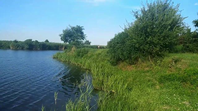 ПРИРОДА И РЫБАЛКА В СЕРБИИ смотреть онлайн