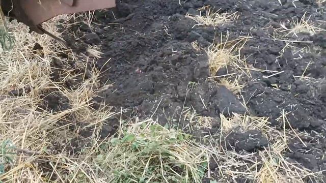 Пахота пшеницы т-150 к..mp4 смотреть онлайн