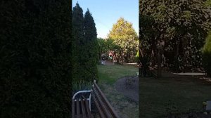 Отель Зодиак в Витязево