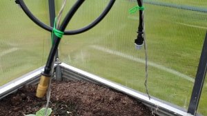 Автоматический полив в теплице