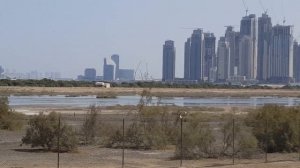 Part 1: Ras Al Khor Wildlife Sanctuary, Dubai, UAE