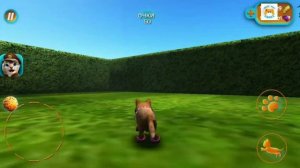 Little kitten game приключения маленького котенка игра симулятор кота