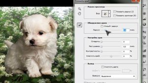 ♣Выделение,и перенос сложных объектов на новый слой♣(how to change the background)