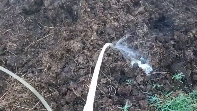 Аммиак & кислотность в СУБСТРАТЕ #бизнес #черви #рыбалка #земля #биогумус . смотреть онлайн