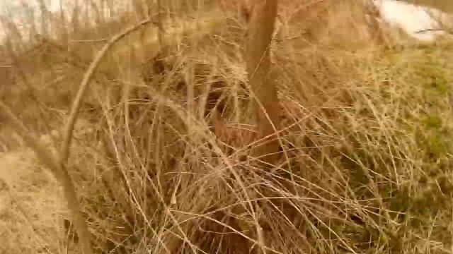 Что эти браконьеры себе позволяют?Нерестовый запрет 2020. Достал браконьерскую снасть смотреть онлайн