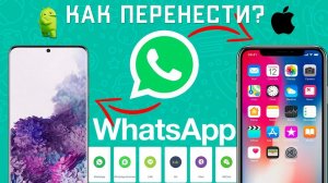 Как перенести WhatsApp с Android на iPhone? - iCareFone (2021)