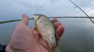 Мормышинг. Рыбалка 2023. Ловля Карася. Рыбалка на пруду. Экстра Ультралайт.