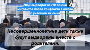 МВД выдворит из РФ семью мигрантов после конфликта в школе с участием их сына