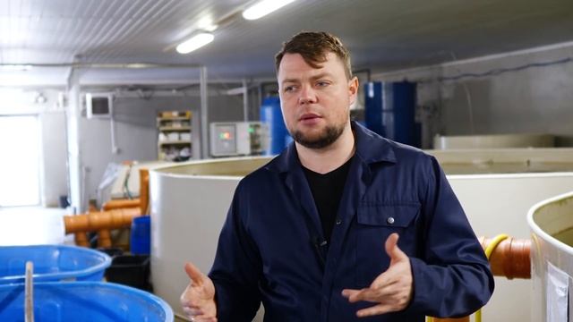Налим. Новая аквакультура на АкваФерме
