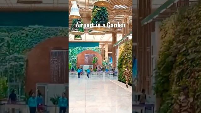 Airport in a Garden | Bangalore airport | Garden City Bengaluru #trending #bangalore #sorts #airpor