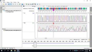 Обработка результатов секвенирования в программе UGENE. Часть 1.