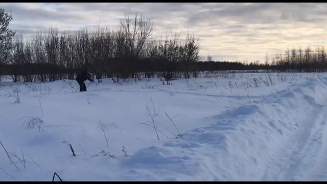 Омоложение старого сада. Работа и отдых в деревне.