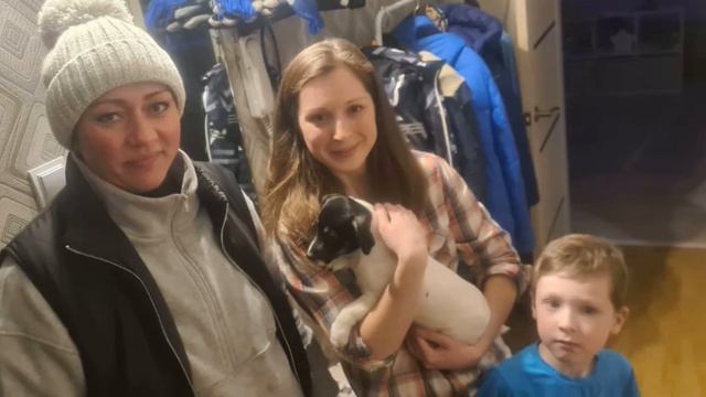 В Новый 2023 год с Джек Рассел терьером! смотреть онлайн