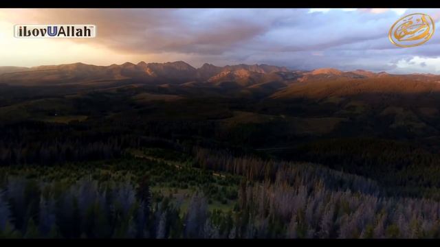 Аллахﷻ желает принять ваши покаяния! смотреть онлайн