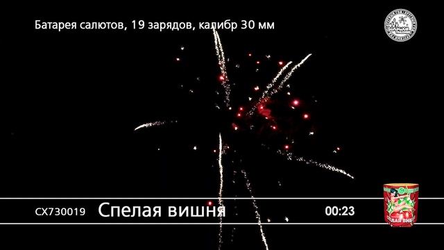 СХ730019 Спелая вишня