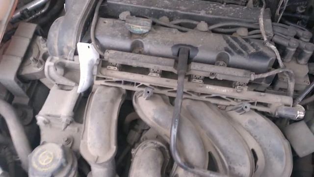 Стук двигателя Ford Focus 1.6 A 2008 пробег 110 000км смотреть онлайн