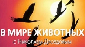 В мире животных с Николаем Дроздовым 2005 г   Выпуск - 24
