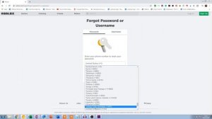 How To Reset Password In Roblox With No Email (Step-by-Step) 2021