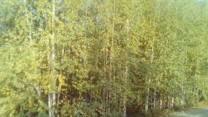 Самотлорское Месторождение