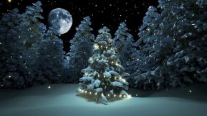 Relaxing Christmas Soft Music 2021 | Sleep, Calm, Relax, Cafe, Spa Music