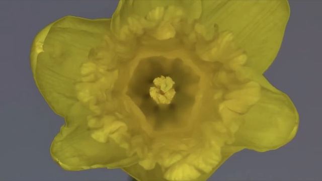 Как сделать выбор профессии смотреть онлайн