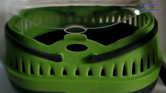 Побег хомячка из переноски смотреть онлайн