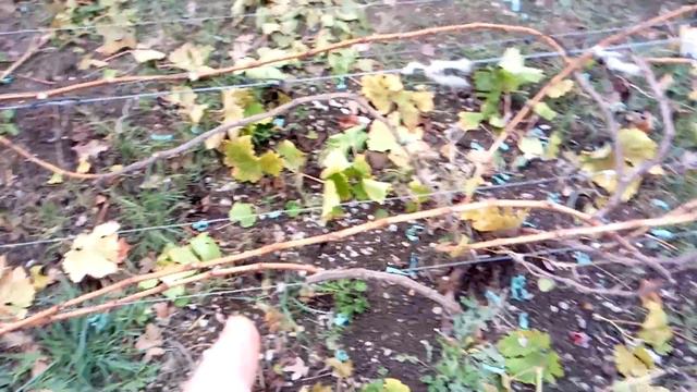 1 декабря 2023 г. смотреть онлайн