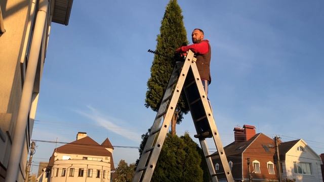 Философия в саду. ТОПИАРНОЕ ИСКУССТВО смотреть онлайн
