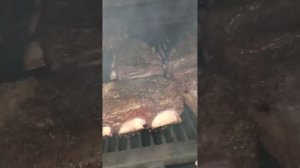 говяжьи ребра BBQ