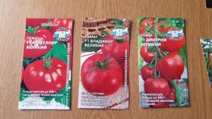 Супер Урожайные Кистевые Крупноплодные Томаты. Обзор Семян Томатов. Семена Седек и Семко