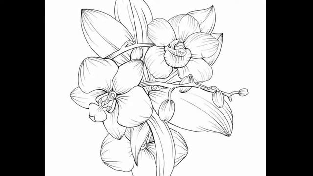 Руны Русичей и Татуировка смотреть онлайн