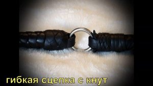 Малый пастуший кнут.