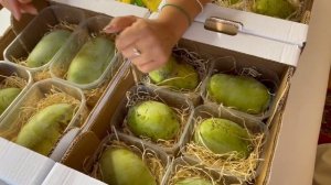 Обзор плодов Азимина