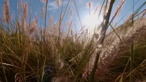 Пока жены нет дома, зажгли с ее мамой в бане. История из жизни.