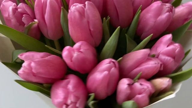 Букет 25 розовых тюльпанов смотреть онлайн