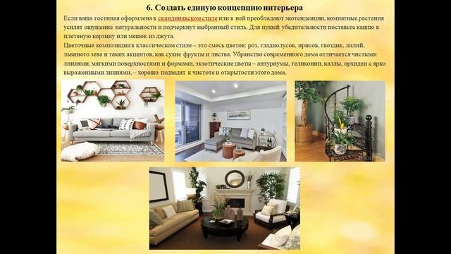 Растение как украшение, как элемент интерьера