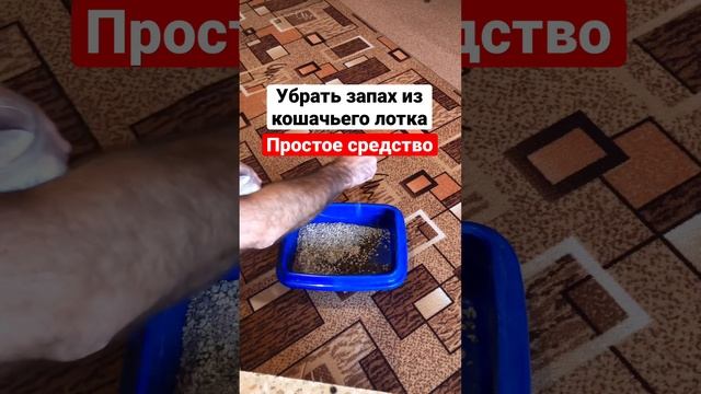 Как убрать неприятный запах из кошачьего лотка? Простое средство (есть у всех на кухне) ? #shorts