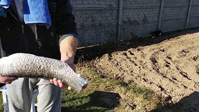 Готовим вкусную УХУ в чугуне. Отмечаем День Автомобилиста! смотреть онлайн