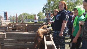 УЗНАЛИ О РАБОТЕ КИНОЛОГОВ