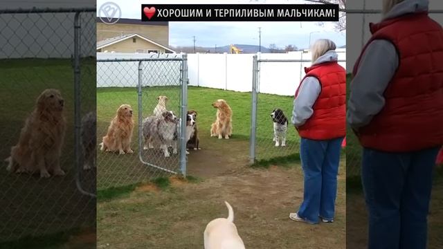 Какая выдержка 😃