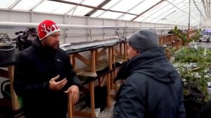 Экскурсия в подземные теплиц Адамарис