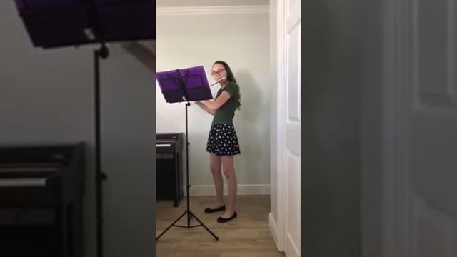 Stamitz Concerto in G major for Flute and Piano смотреть онлайн