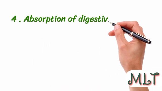 Gastrointestinal tract || Functions of GIT смотреть онлайн