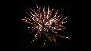 С 504 Green tail to golden crown w brocade crown (MA) 20 сек Тип-I 1.2"x25 4/1 2023