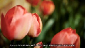 Синоптик сообщил о начале бархатного сезона на российских курортах