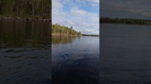 Рыбалка, Карелия, Нижнее Куйто 12 августа 2020.