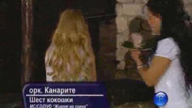 6 кокошки / 6 куриц смотреть онлайн