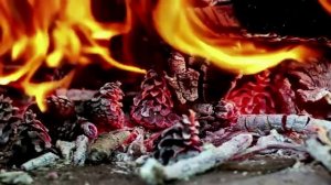 СУЩЕСТВО НА ФЕРМЕ. Страшные истории про деревню. Деревня. Истории на ночь. Абаддон. Ужасы.