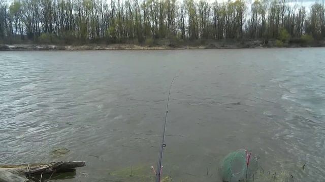 Поехал отдохнуть,и попал на ХОРОШИЙ КЛЁВ!Фидер на реке в сильный ветер. смотреть онлайн