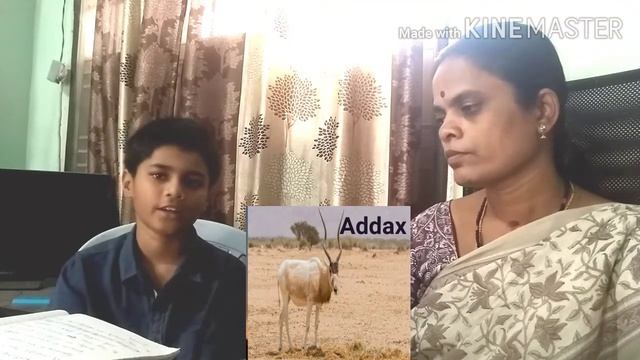 Addax|White Antelope in Sahara Desert in Africa|Wild Animals for kids|by Sathakshar смотреть онлайн